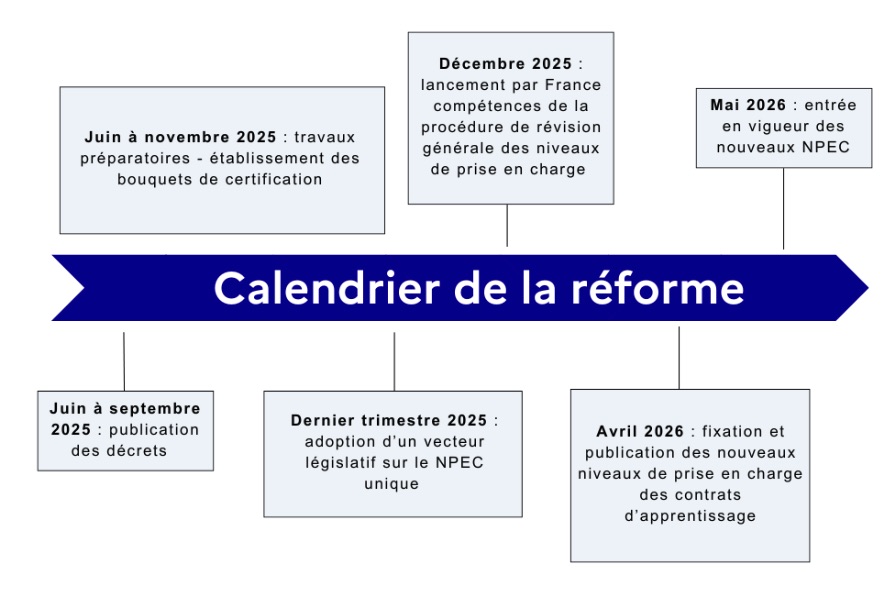 Réforme financement apprentissage 2025